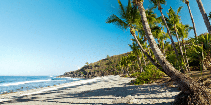Quand partir à l’île de la Réunion ?